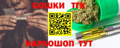хмурый Камень-на-Оби