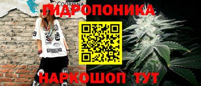 гидра Каменск-Шахтинский